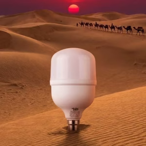 attractive light bulbs